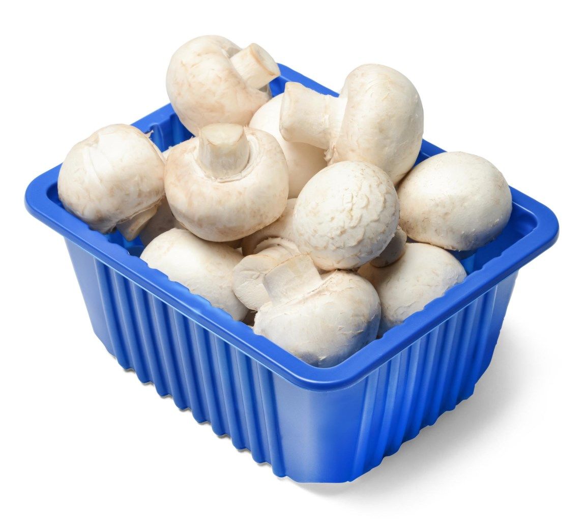 champignonbakje.jpg